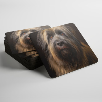 Podtácky Briard realistic