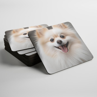 Podtácky Pomeranian realistic