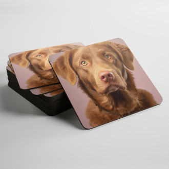 Podtácky Chesapeake Bay retriever realistic