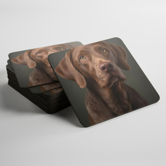 Podtácky Wirehaired Vizsla realistic