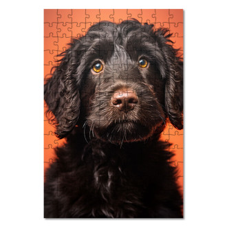 Drevené puzzle Portugalský vodný pes realistic