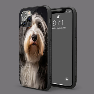Bearded Collie realistic