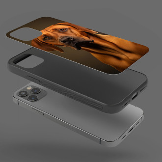 Rodézsky ridgeback realistic