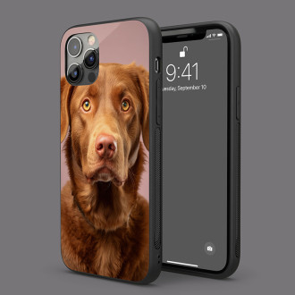 Chesapeake Bay retriever realistic