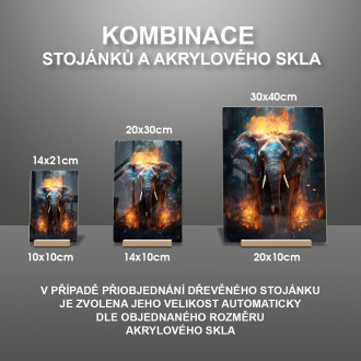 Akrylové sklo slon v ohnivej džungli
