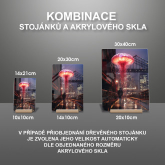 Akrylové sklo neonová medúza v sydney