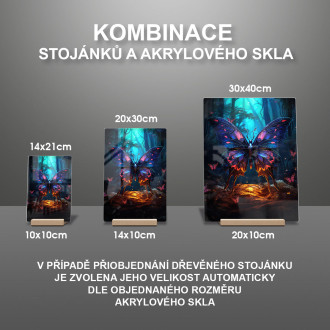 Akrylové sklo farebný motýľ v tmavom lese 2
