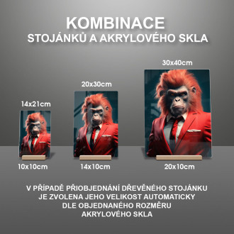 Akrylové sklo opica v červenom obleku