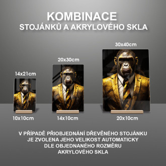 Akrylové sklo opica v zlatom obleku a kravate