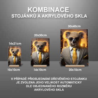 Akrylové sklo koala v obleku