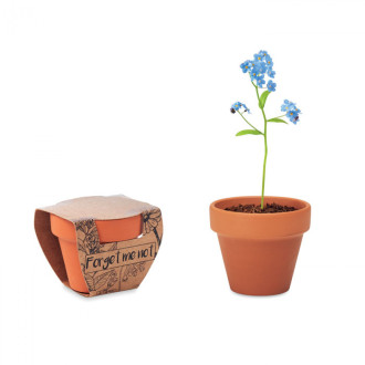 FORGET ME NOT, Terakotový květináč - pomněnka