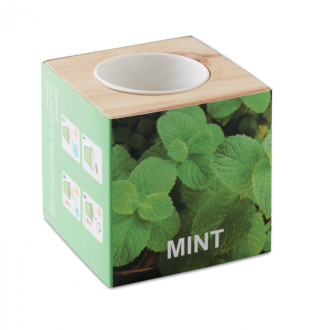 MENTA, Dřevěný truhlík na bylinky