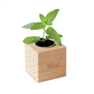 MENTA, Dřevěný truhlík na bylinky