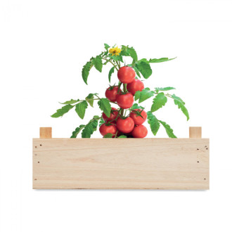 TOMATO, Rajčatový set v přepravce