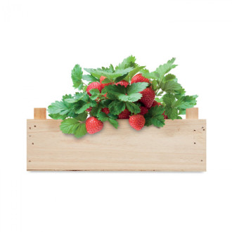 STRAWBERRY, Jahodový set v přepravce