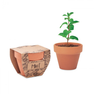 MINT POT, Semínka máty v  květináčku