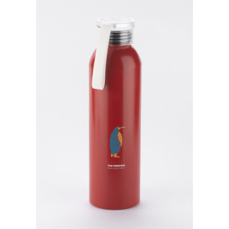 Hliníková láhev ALLUMI 650 ml