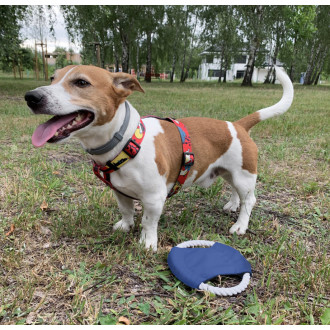 Frisbee pro psy RINGO