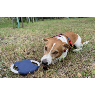 Frisbee pro psy RINGO