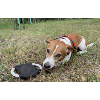 Frisbee pro psy RINGO