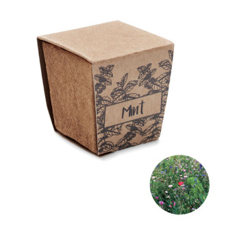 MINT KIT, Sada na pěstování máty