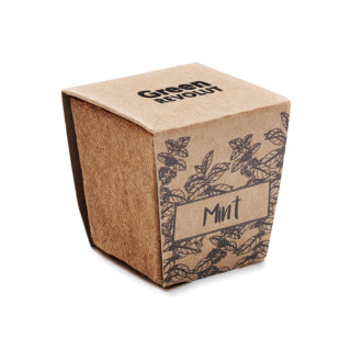 MINT KIT, Sada na pěstování máty