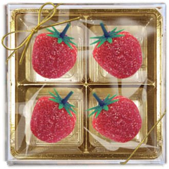 FRUITS 4STR Kolekce ovocného želé