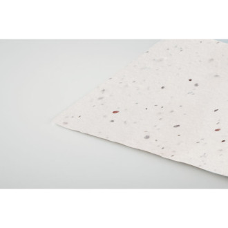 ASIDA, Vizitka semen divokých květin.