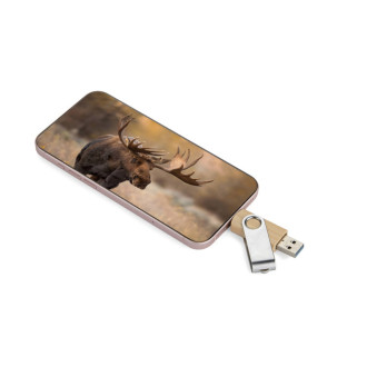 USB Flash disk 3.0 OTG TWISTER-PRO 32GB