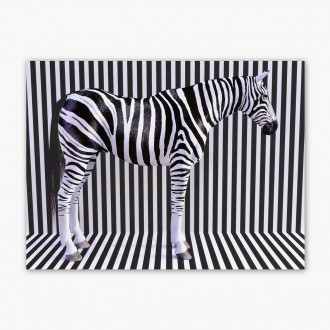 Zebra 3D Plagát