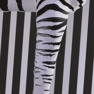 Zebra 3D Plagát