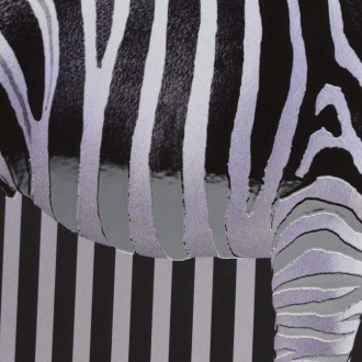 Zebra 3D Plagát