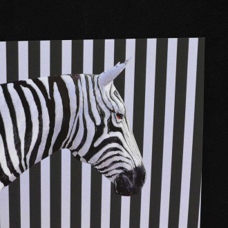 Zebra 3D Plagát