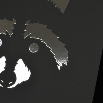 Silueta mývala 3D Strieborný Plagát