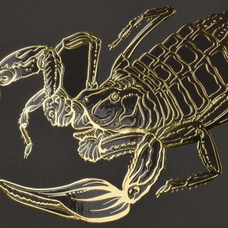 Znamenie zverokruhu Škorpión 3D Zlatý Plagát
