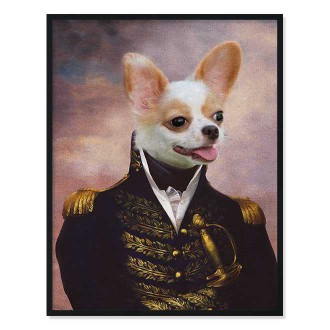 Portrét maznáčika Admiral