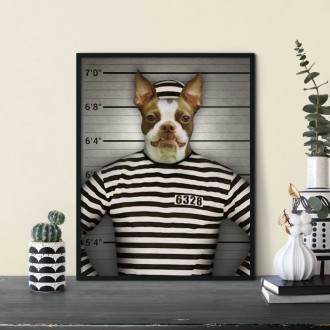 Portrét maznáčika Prisoner