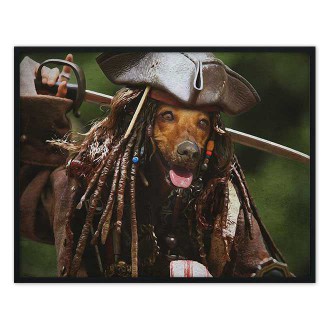 Portrét maznáčika Pet Sparrow
