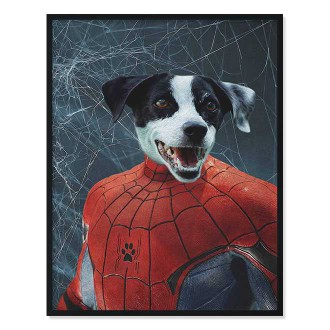 Portrét maznáčika Spider Pet