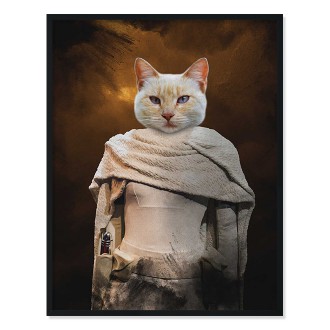 Portrét maznáčika Petme Amidala