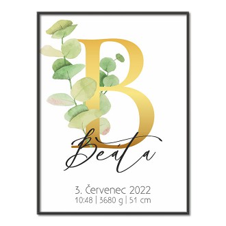 Personalizovateľný plagát Narodenia bábätka - Abeceda "B"