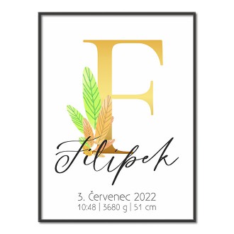 Personalizovateľný plagát Narodenia bábätka - Abeceda "F"