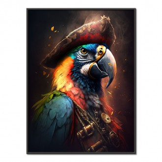 Papagáj pirát 1