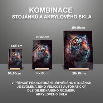 Akrylové sklo Pastelový tiger