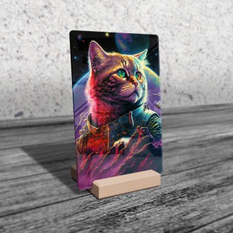 Akrylové sklo Vesmírna mačka