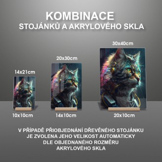 Akrylové sklo Mačka kyborg 3