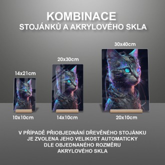 Akrylové sklo Mačka kyborg