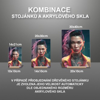 Akrylové sklo Punkové dievča