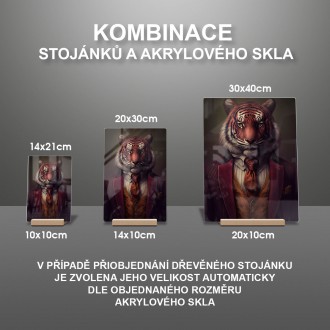 Akrylové sklo Tiger v obleku