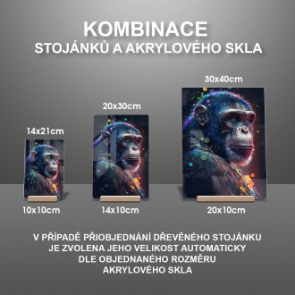 Akrylové sklo Šimpanz